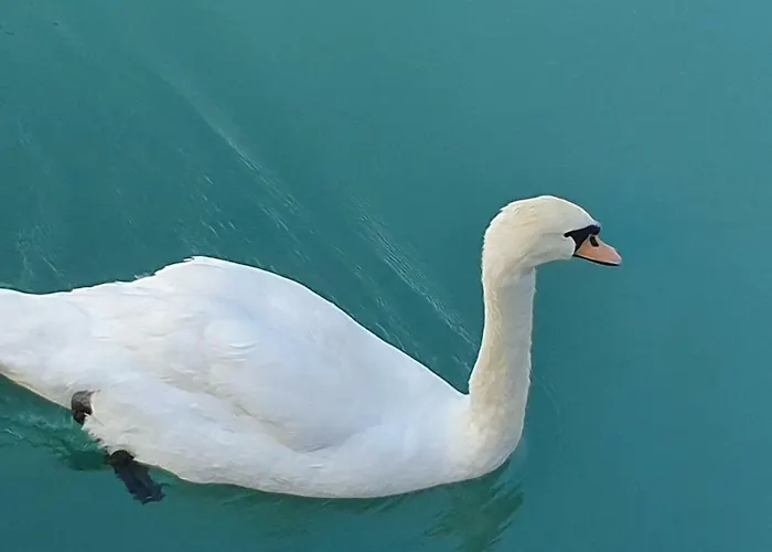 Garda Felice Desenzano del Garda