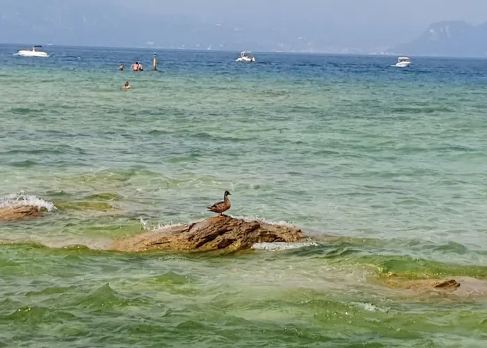 Apartman Garda Felice *